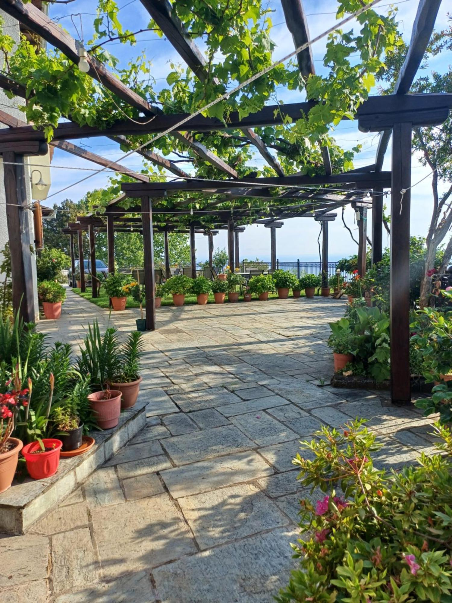 Olga Studios Tsagarada Esterno foto