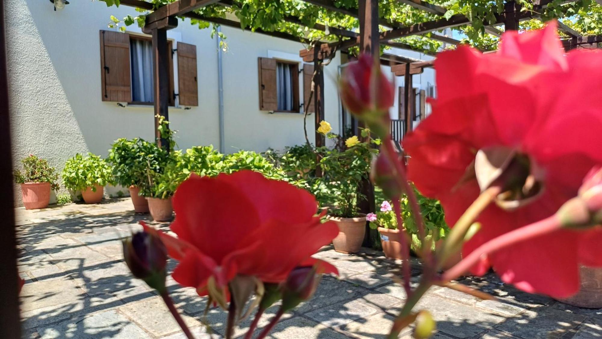 Olga Studios Tsagarada Esterno foto